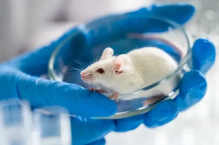 Animal-Science
